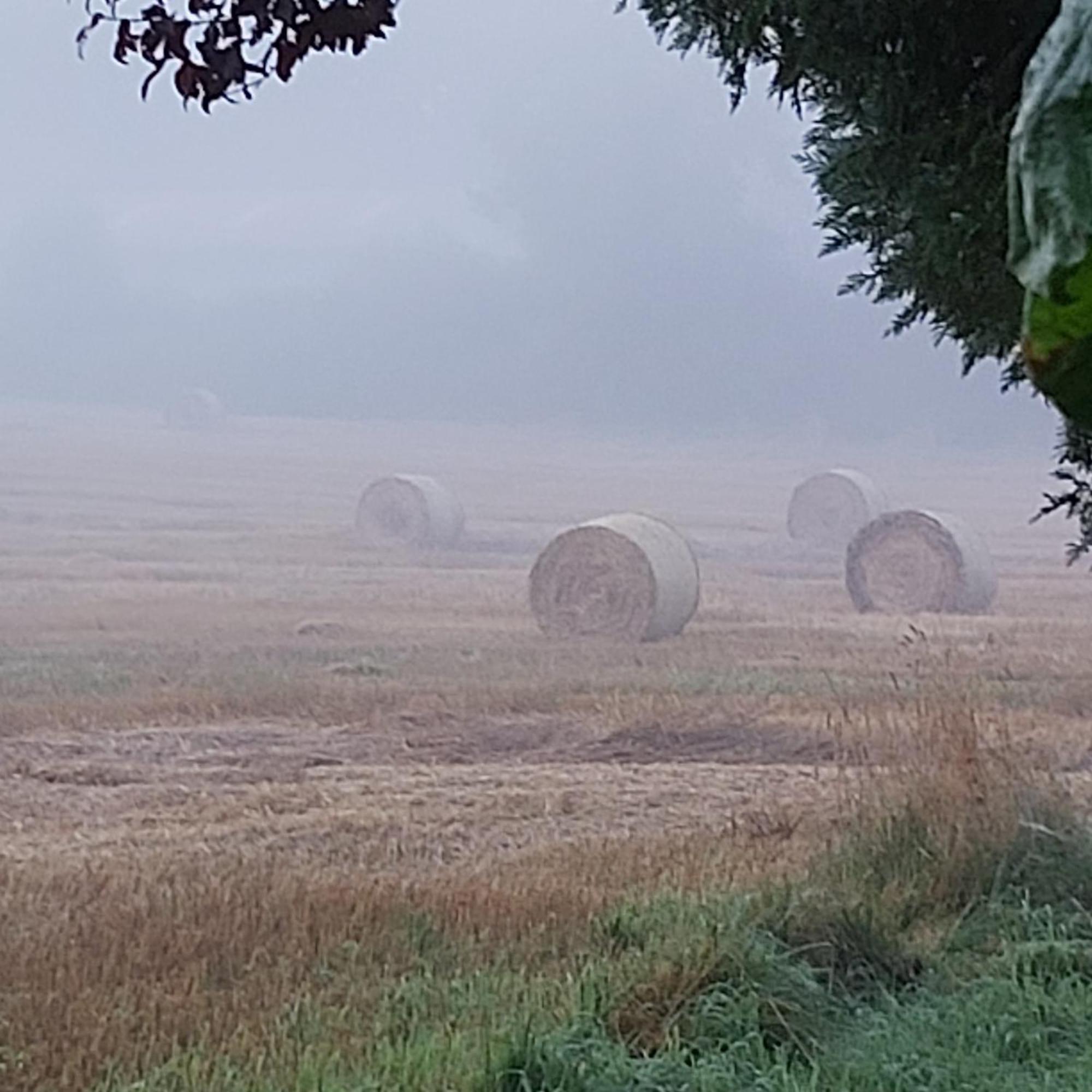 Gabis Ferienwohnung Bendingbostel Ruang foto